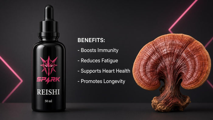 Reishi Mushroom Extract